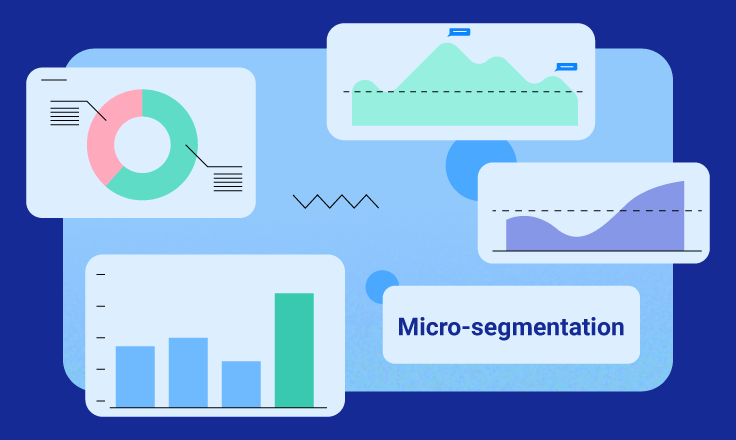 Micro-segmentation in loyalty programs