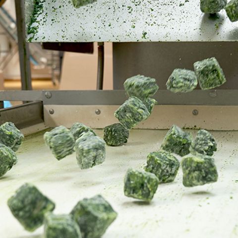  How to use data for optimizing processes in your company?