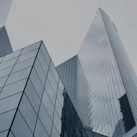 Vingroup a coalition loyalty program in Asia