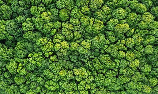 Sustainability in the Telecommunications Industry