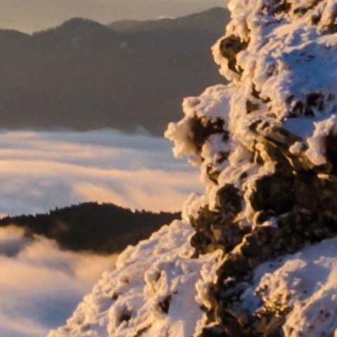 Comarch automates UNIQA’s sales force