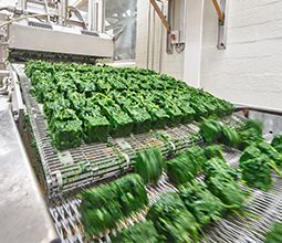 Smart Metering for Industry in the Louis Ditzler Ag