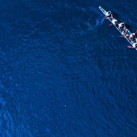 Strong brand advocacy, strong enterprise