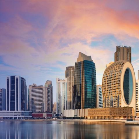 Electronic Invoicing in the  United Arab Emirates