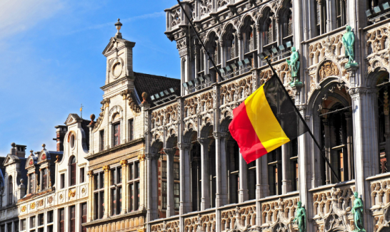 Belgium Reaches One Million Peppol Recipients: Successful Adoption of Standardized E-Invoicing